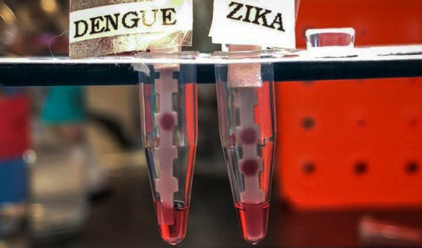 Zika test tubes