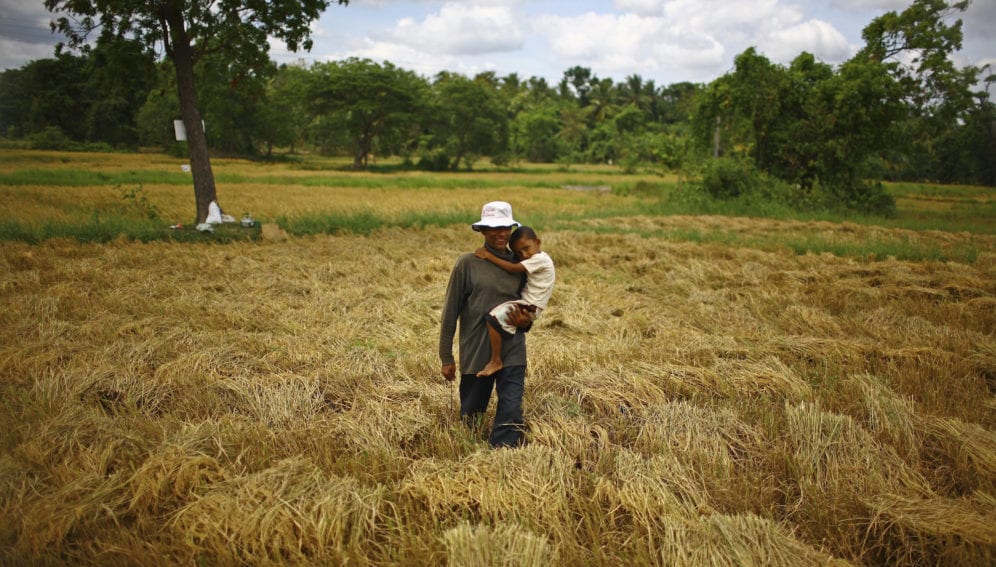 sri-lanka-farmer-rice-fields