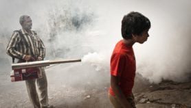 South Asia grapples with dengue