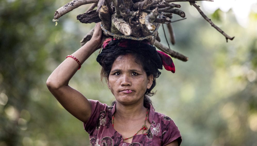 Woman carrying firewood in Nepal.