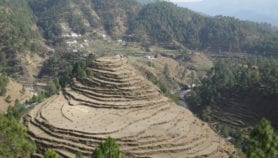 ‘Himalayan region too seismic for big dams’