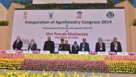 India’s new agro-forestry policy is pro-farmer