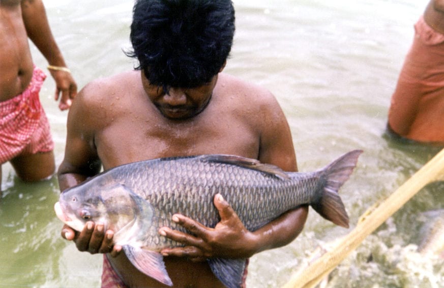 Aquaculture_in_Bangladesh_Flickr_WorldFish