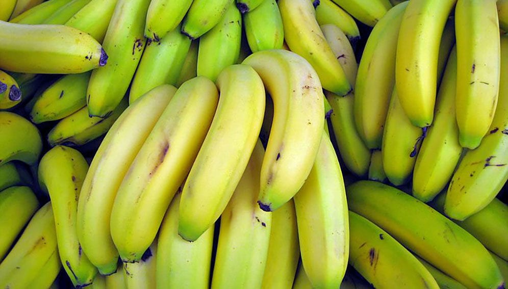 bananas - main