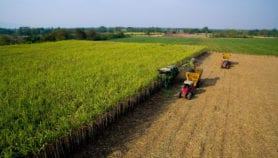 ‘Disruptive technologies’ transform Asian agriculture