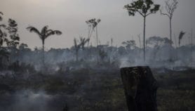 Nature losses threaten emerging economies