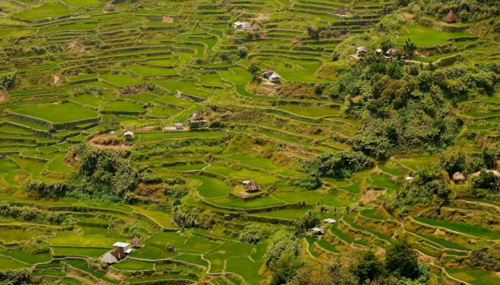 Terraces
