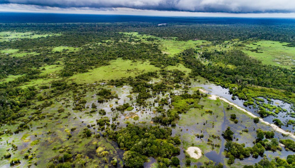 Indonesia peatlands