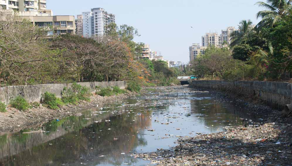 Untreated water in the polluted Malad creek in Mumbai, India. Researchers found that urban waste samples in the country are teeming with antimicrobial resistance genes. They called for an integrated observation and monitoring system for early detection and tracking of drug-resistant pathogens and microbial outbreaks.