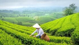 Faster global warming linked to Chinese aerosol cuts