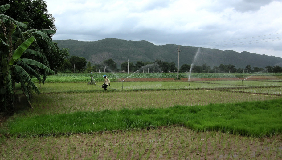groundwater-based irrigation in India
