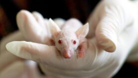 New testing methods can spare laboratory animals