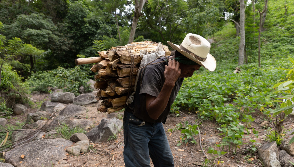 The only way Rosa Elvira and her family have to get through these hard times is to collect some wood to sell around the village. (Guatemala)