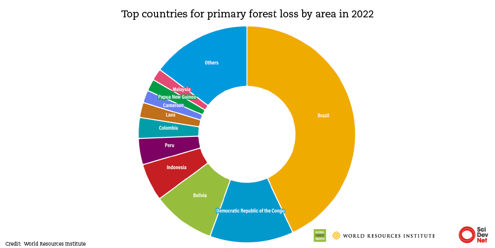 Top Countries for-Primary Forest Loss
