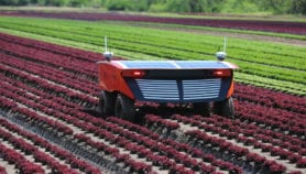 Coming of age: Robots in farms