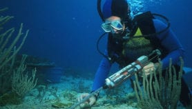 Q&A: Sylvia Earle on the planet’s blue engine