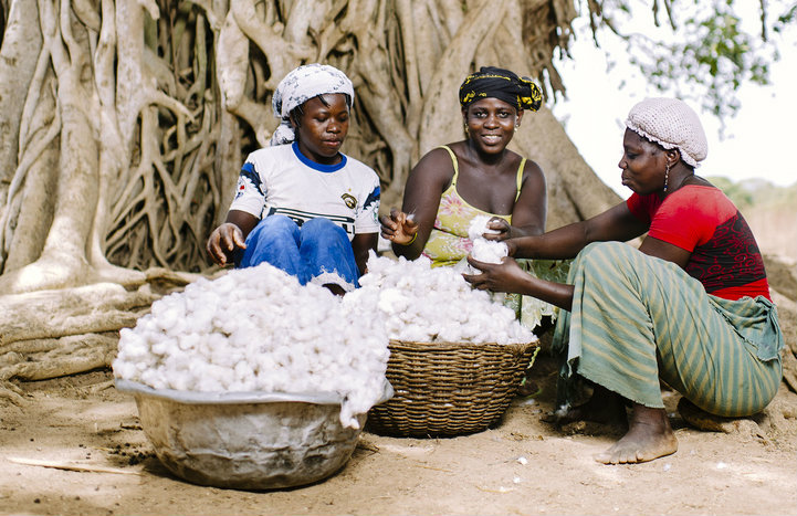 Farming cotton girls CIFOR