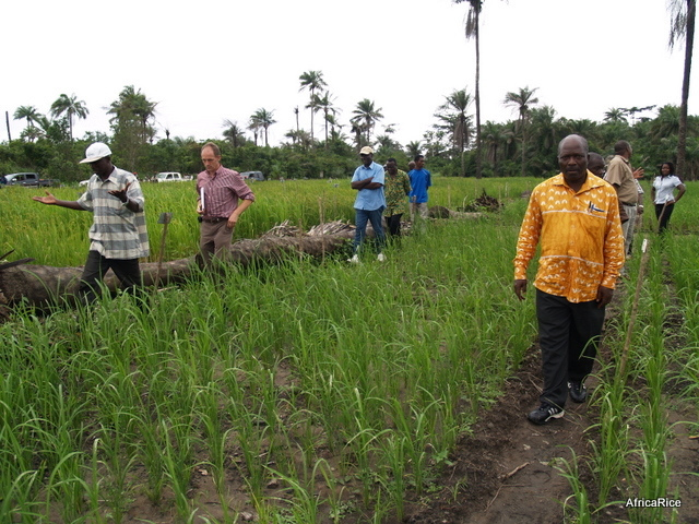 Africa Rice Agri Aid