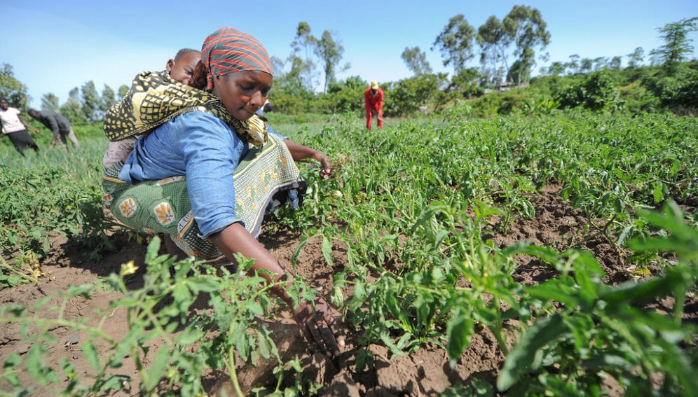 Smallholder farmer woman