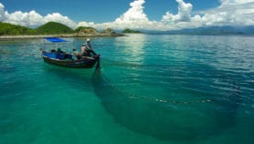 Vietnamese lagoon project ‘a success’