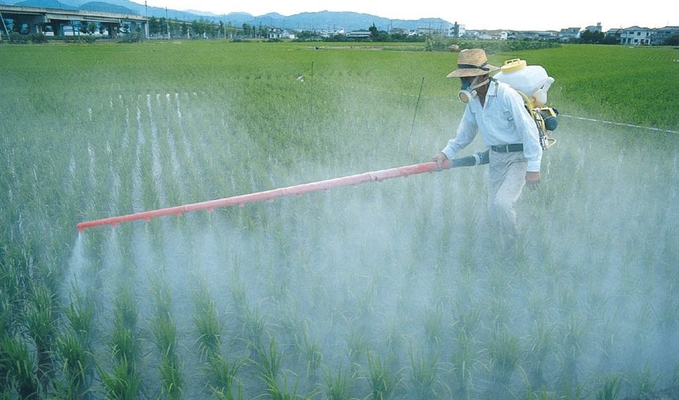 Pesticides_GWP Credit, agriculture