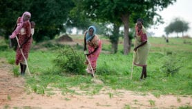 Focus on Gender: Working to raise the productivity of women farmers