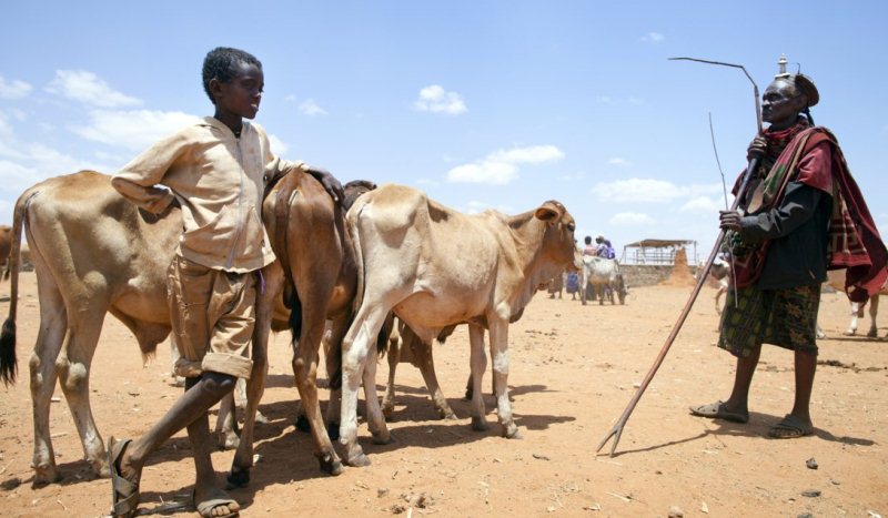 A Borana pastoralist
