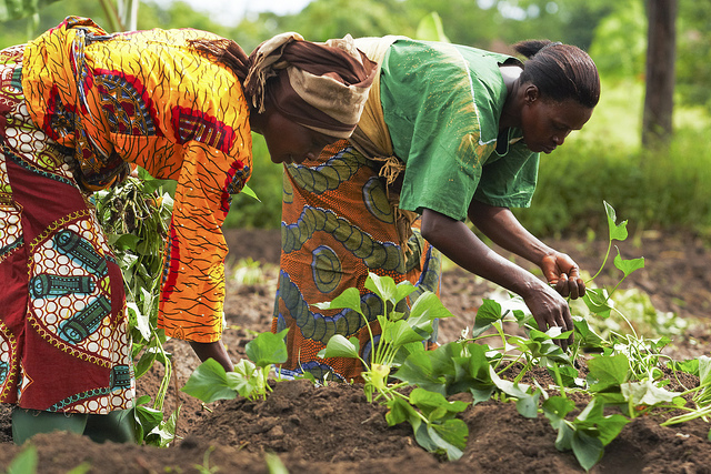 African farmers_Flickr_Gates Foundation