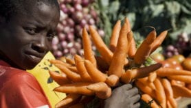 African agriculture needs trade not aid