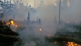 Lung damage from agricultural fires probed