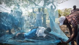Zanzibar cuts new malaria cases by 94 per cent