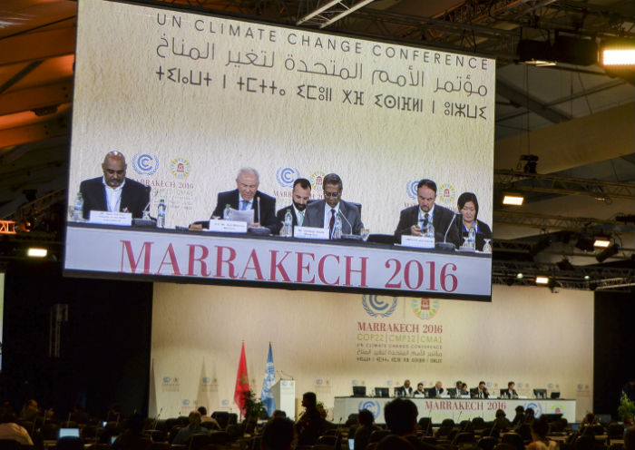 COP22 friends of the earth.jpg
