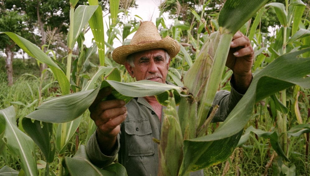 Cuban farmer_Panos.jpg