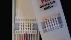 Fast paper test detects three diseases at once