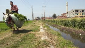 Ancient Egyptian river could be revived for farming