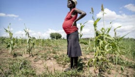 El Niño and fighting leave 80 million in food crisis