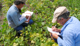 Citizen science helps farmers adapt to climate change