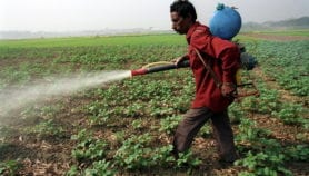 SDGs ‘ignore threat of fertiliser overuse’