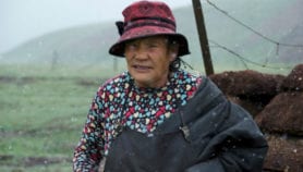 Slow drowning of Tibetan grasslands fenced in by Beijing