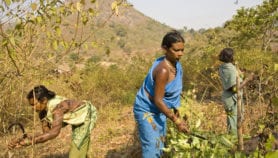 Indigenous people to have say in UN climate policy