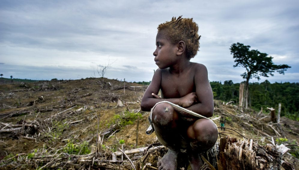 indigenous child in deforested land