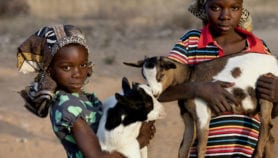 SciDev.Net podcast: African farmers mitigate emissions