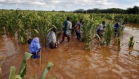 East Africa on alert for El Niño deluge