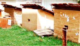 Mud bricks best for cool, green houses, says study