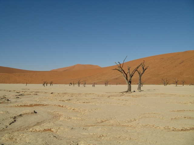 Namibian Desert_Flickr_SAGT