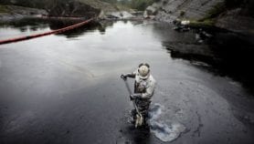 Sponge cuts oil spill clean-up cost