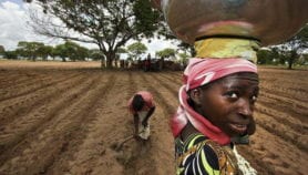 Women farmers remain on the margins