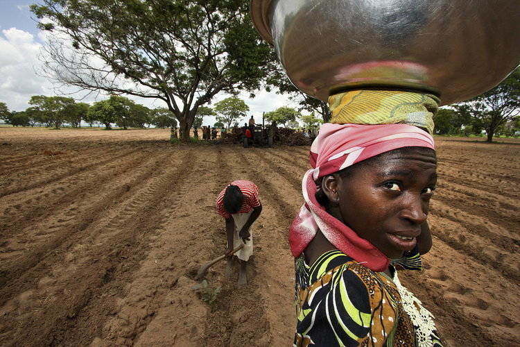 Women farmers africa