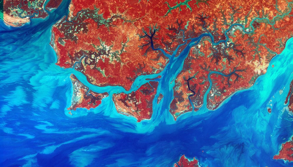 Satellite Image of Guinea-Bissau_NASA_USGS EROS Data Center