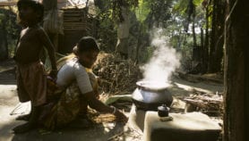 Shift to biogas helps revive forests